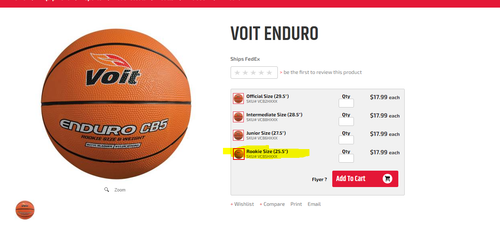 25.5" Voit Basketballs