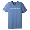 Retired Mail Model Triblend T-Shirt - Blue Triblend