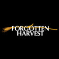 Forgotten Harvest Vintage 1/4 Zip Sweatshirt - Black