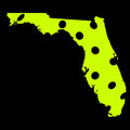 Florida Hoodie - United States of Pickleball